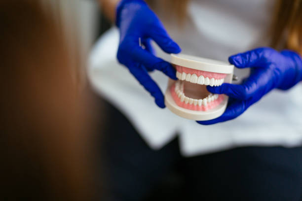Emergency Dental Services in Westville, IN